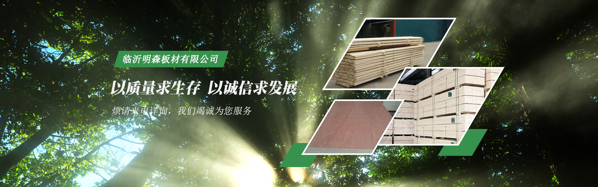 臨沂名森板材有限公司